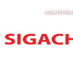 Sigachi Industries Limited share